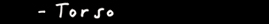 torso